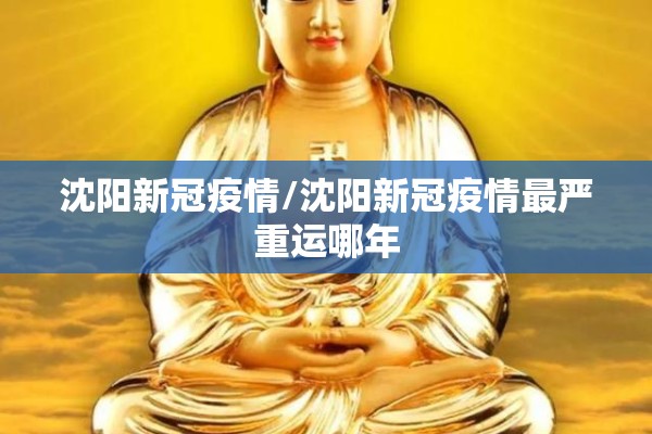 沈阳新冠疫情/沈阳新冠疫情最严重运哪年