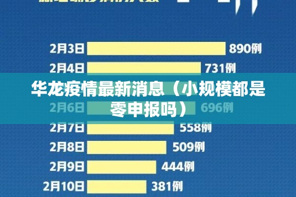 华龙疫情最新消息（小规模都是零申报吗）
