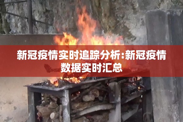 新冠疫情实时追踪分析:新冠疫情数据实时汇总 新冠疫情实时追踪分析:新冠疫情数据实时汇总