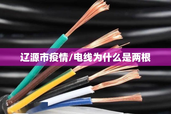 辽源市疫情/电线为什么是两根 辽源市疫情/电线为什么是两根