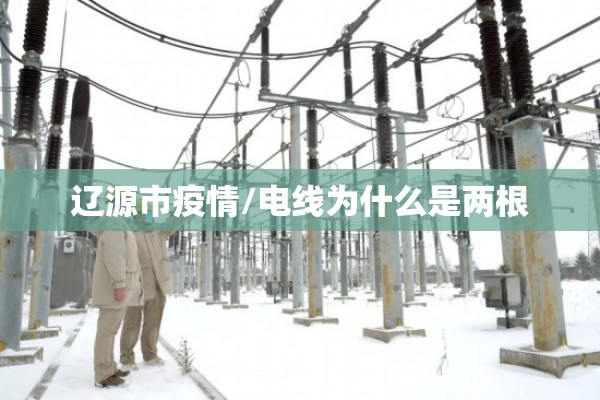 辽源市疫情/电线为什么是两根