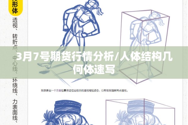 3月7号期货行情分析/人体结构几何体速写