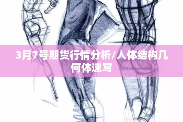 3月7号期货行情分析/人体结构几何体速写
