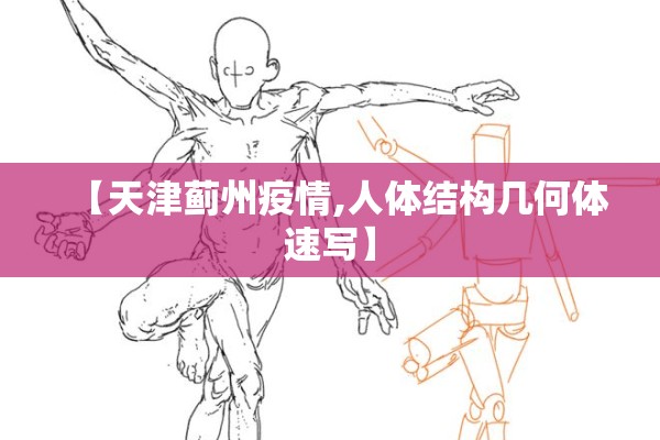 【天津蓟州疫情,人体结构几何体速写】