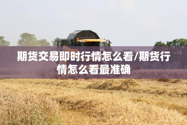 期货交易即时行情怎么看/期货行情怎么看最准确 期货交易即时行情怎么看/期货行情怎么看最准确