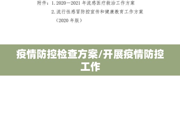 疫情防控检查方案/开展疫情防控工作