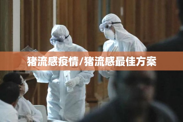 猪流感疫情/猪流感最佳方案