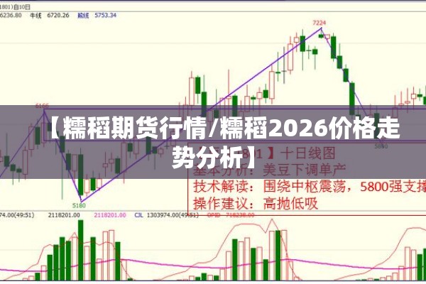 【糯稻期货行情/糯稻2026价格走势分析】 【糯稻期货行情/糯稻2026价格走势分析】