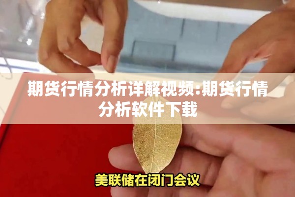 期货行情分析详解视频:期货行情分析软件下载
