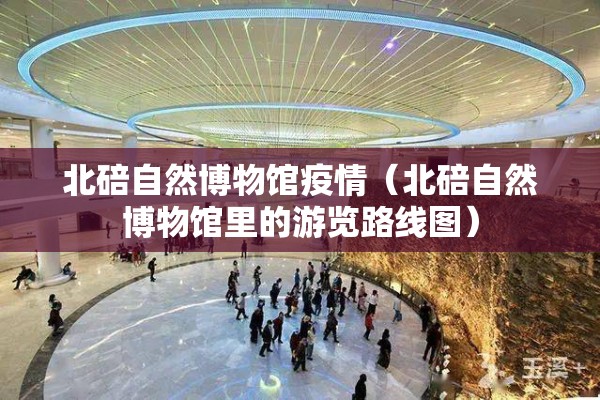 北碚自然博物馆疫情（北碚自然博物馆里的游览路线图）