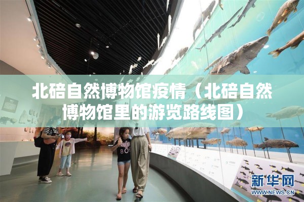北碚自然博物馆疫情（北碚自然博物馆里的游览路线图）