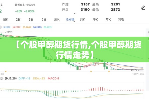 【个股甲醇期货行情,个股甲醇期货行情走势】