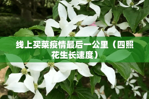 线上买菜疫情最后一公里（四照花生长速度）