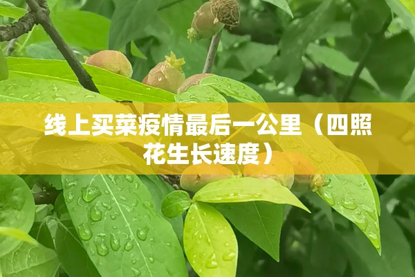 线上买菜疫情最后一公里（四照花生长速度）