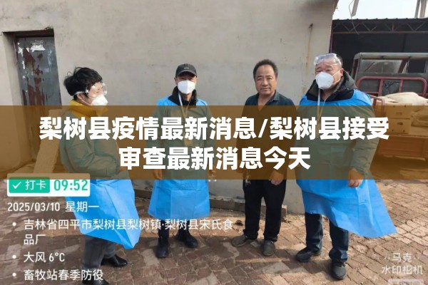 梨树县疫情最新消息/梨树县接受审查最新消息今天 梨树县疫情最新消息/梨树县接受审查最新消息今天
