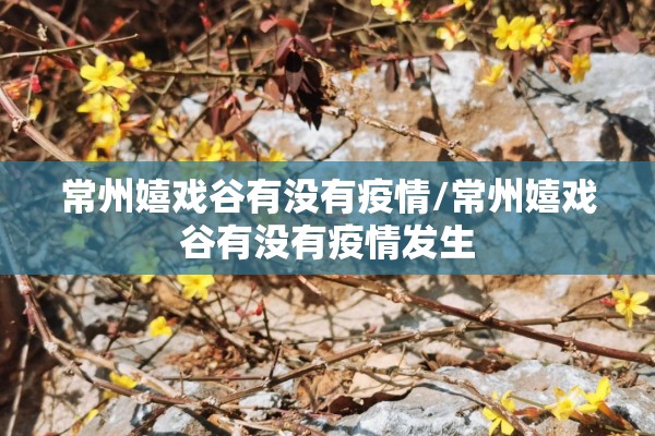 常州嬉戏谷有没有疫情/常州嬉戏谷有没有疫情发生 常州嬉戏谷有没有疫情/常州嬉戏谷有没有疫情发生