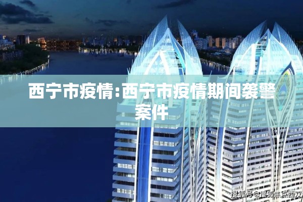西宁市疫情:西宁市疫情期间袭警案件