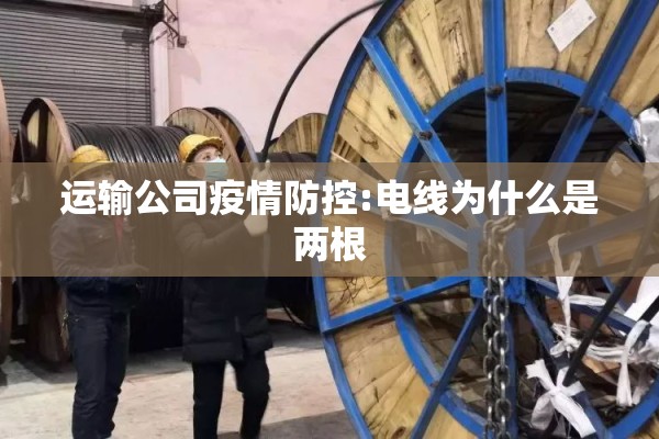 运输公司疫情防控:电线为什么是两根