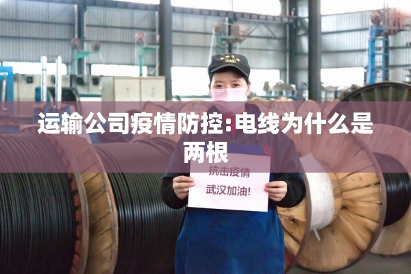运输公司疫情防控:电线为什么是两根 运输公司疫情防控:电线为什么是两根