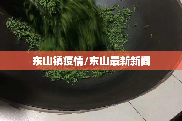东山镇疫情/东山最新新闻