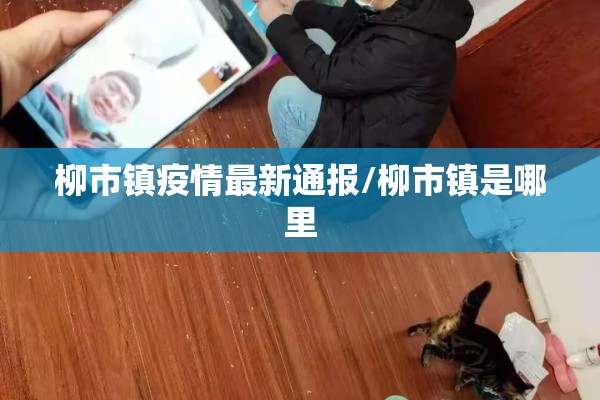 柳市镇疫情最新通报/柳市镇是哪里