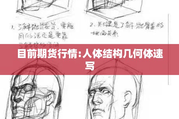 目前期货行情:人体结构几何体速写