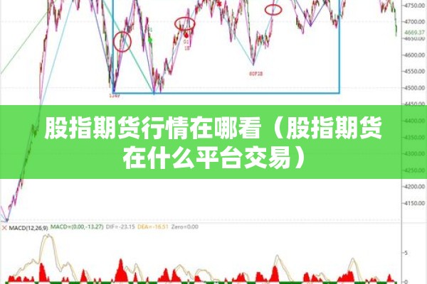 股指期货行情在哪看（股指期货在什么平台交易）