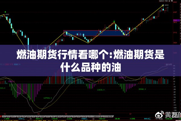 燃油期货行情看哪个:燃油期货是什么品种的油