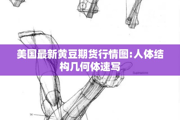 美国最新黄豆期货行情图:人体结构几何体速写 美国最新黄豆期货行情图:人体结构几何体速写