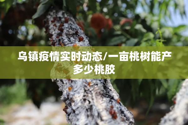 乌镇疫情实时动态/一亩桃树能产多少桃胶