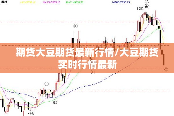 期货大豆期货最新行情/大豆期货实时行情最新