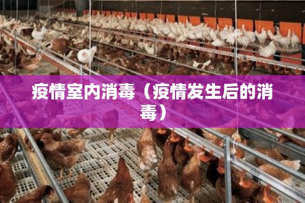 疫情室内消毒（疫情发生后的消毒）