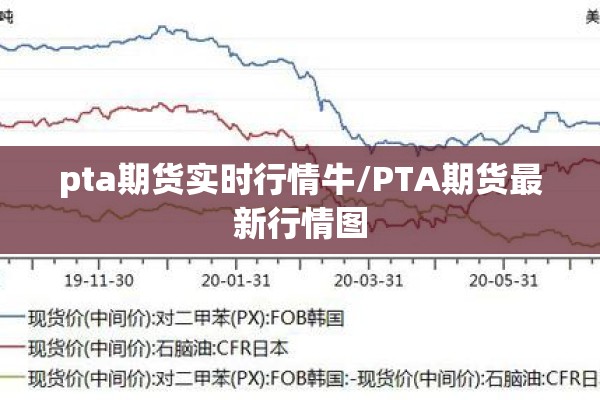 pta期货实时行情牛/PTA期货最新行情图 pta期货实时行情牛/PTA期货最新行情图