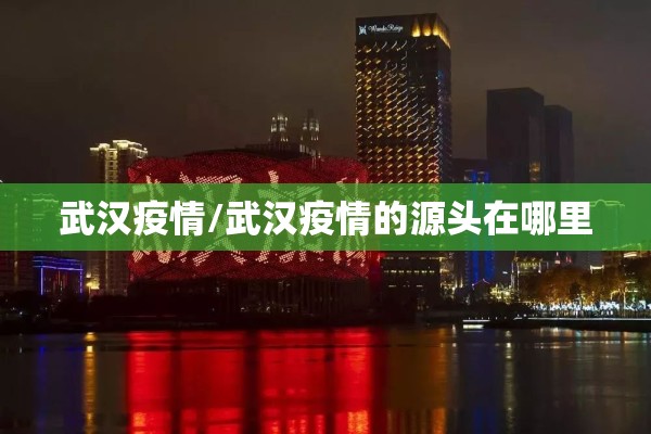 武汉疫情/武汉疫情的源头在哪里