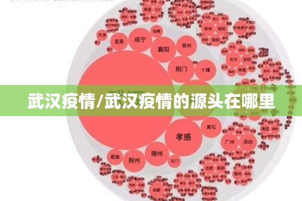 武汉疫情/武汉疫情的源头在哪里