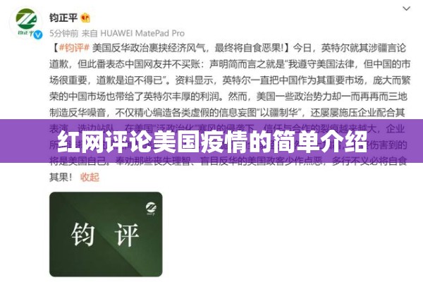 红网评论美国疫情的简单介绍