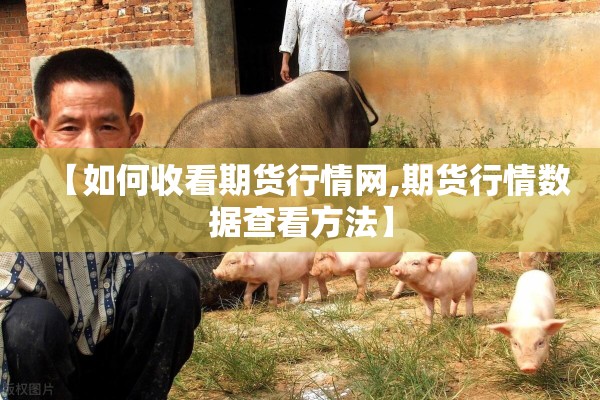 【如何收看期货行情网,期货行情数据查看方法】