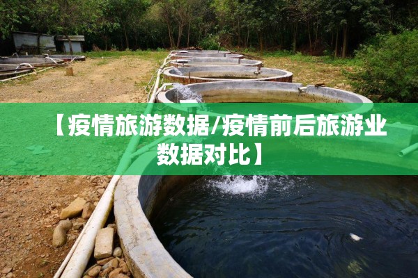 【疫情旅游数据/疫情前后旅游业数据对比】 【疫情旅游数据/疫情前后旅游业数据对比】