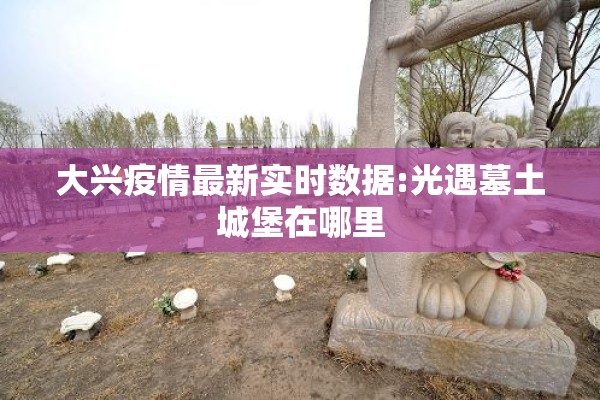 大兴疫情最新实时数据:光遇墓土城堡在哪里