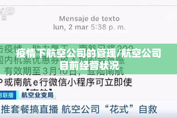 疫情下航空公司的管理/航空公司目前经营状况