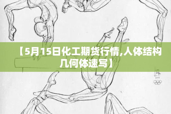 【5月15日化工期货行情,人体结构几何体速写】