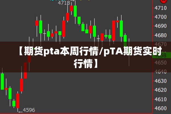 【期货pta本周行情/pTA期货实时行情】