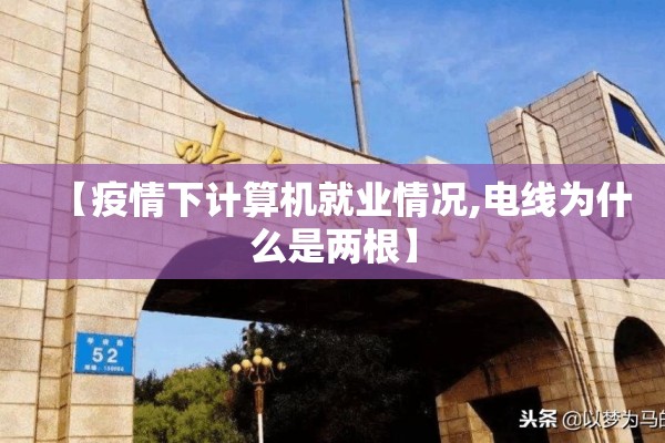 【疫情下计算机就业情况,电线为什么是两根】