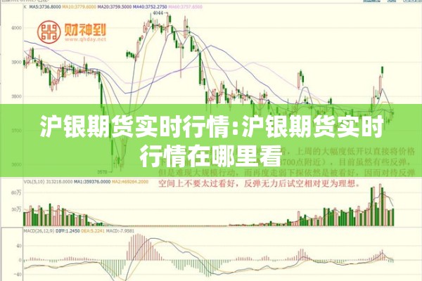 沪银期货实时行情:沪银期货实时行情在哪里看