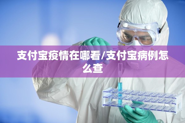 支付宝疫情在哪看/支付宝病例怎么查