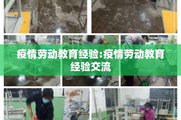 疫情劳动教育经验:疫情劳动教育经验交流