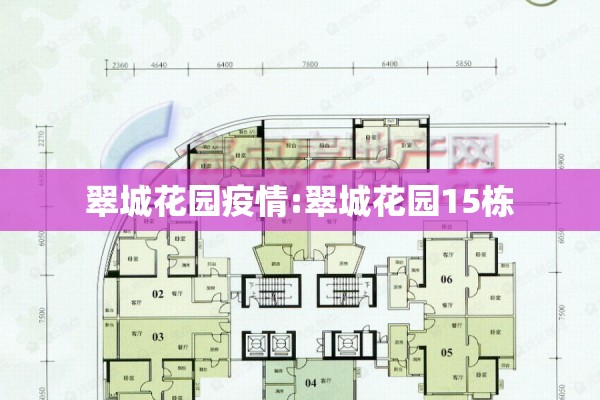 翠城花园疫情:翠城花园15栋