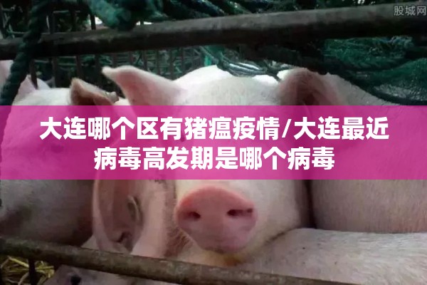大连哪个区有猪瘟疫情/大连最近病毒高发期是哪个病毒