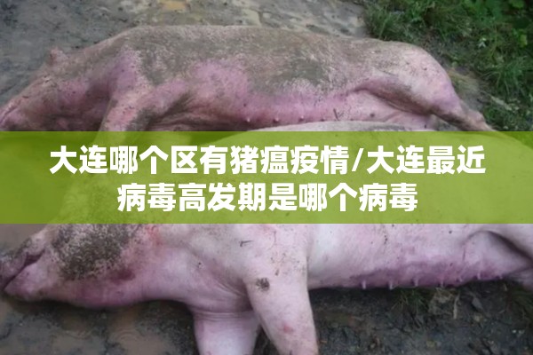 大连哪个区有猪瘟疫情/大连最近病毒高发期是哪个病毒