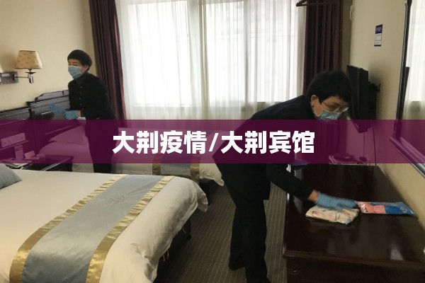 大荆疫情/大荆宾馆 大荆疫情/大荆宾馆